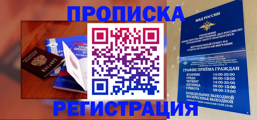 временная регистрация для школы в Гудермесе